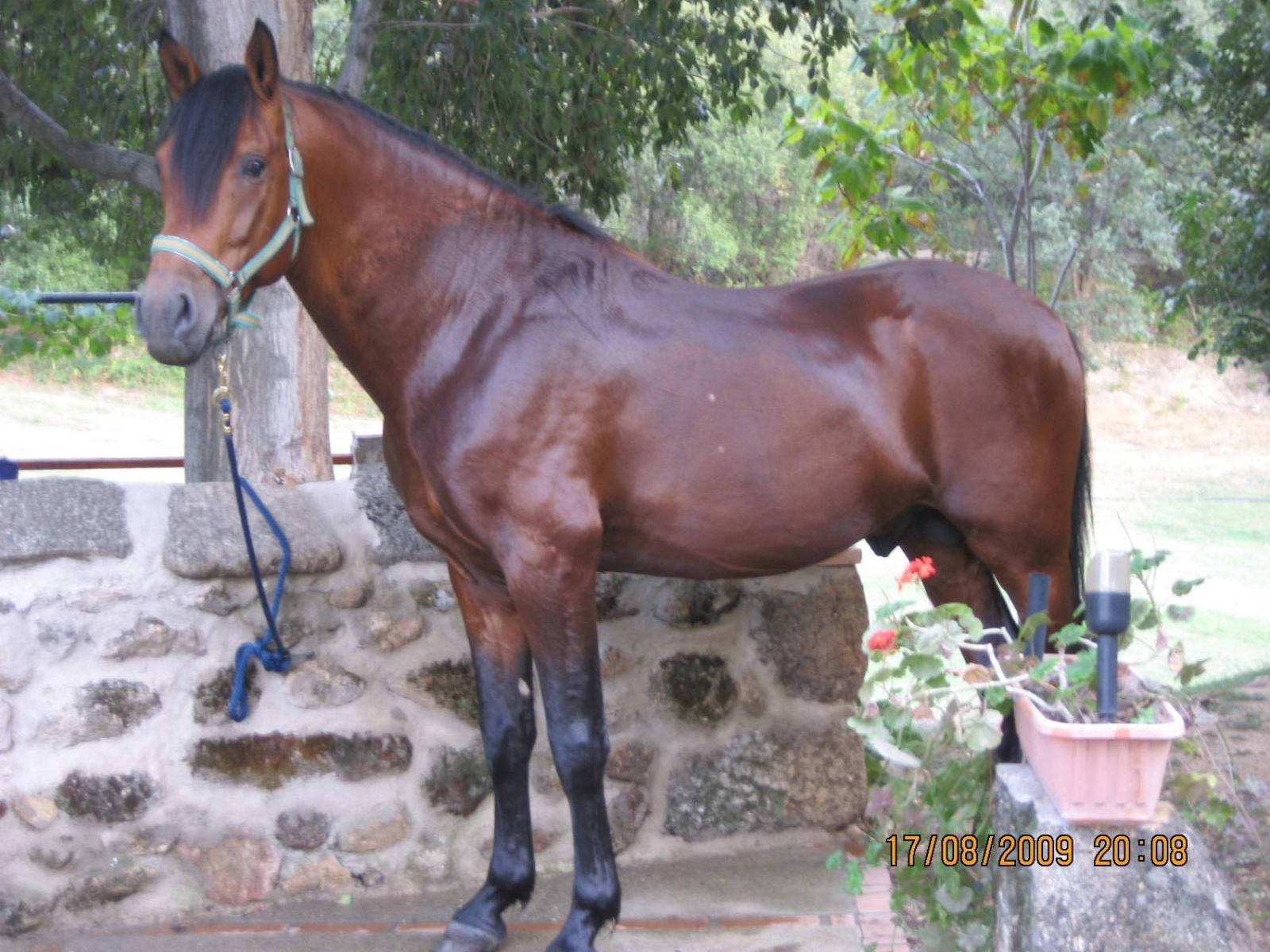 La Caseria Navaconcejo Buitenkant foto